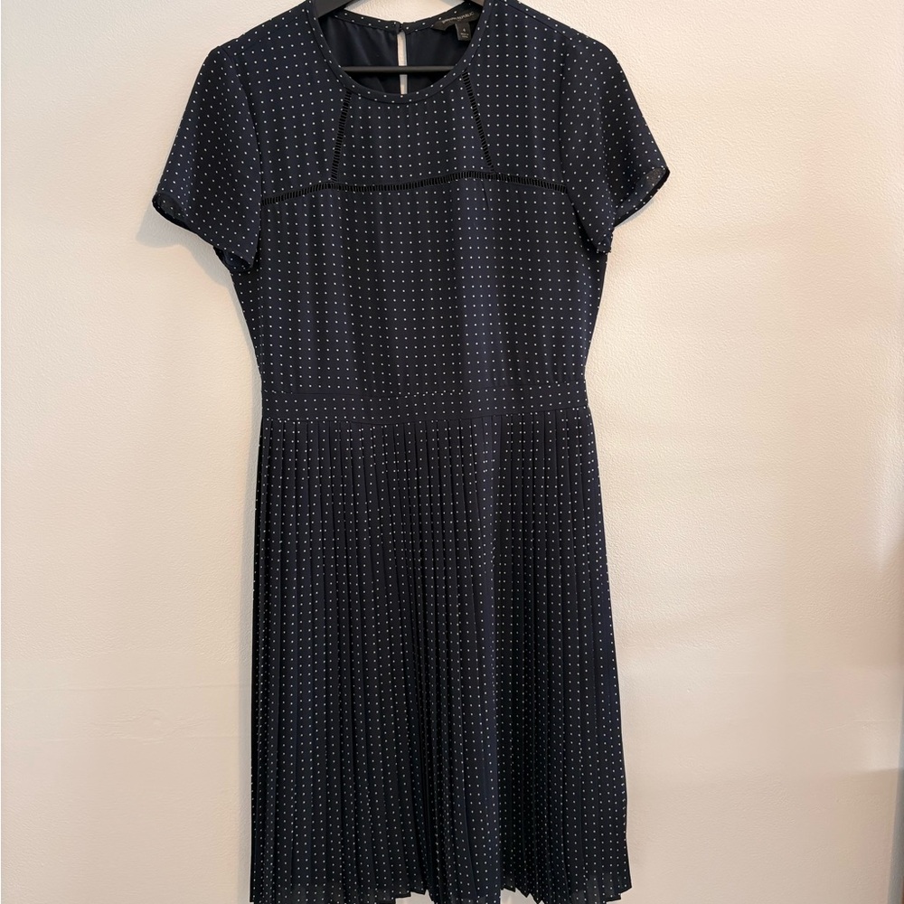 Banana Republic Blue and White Pleated Dress